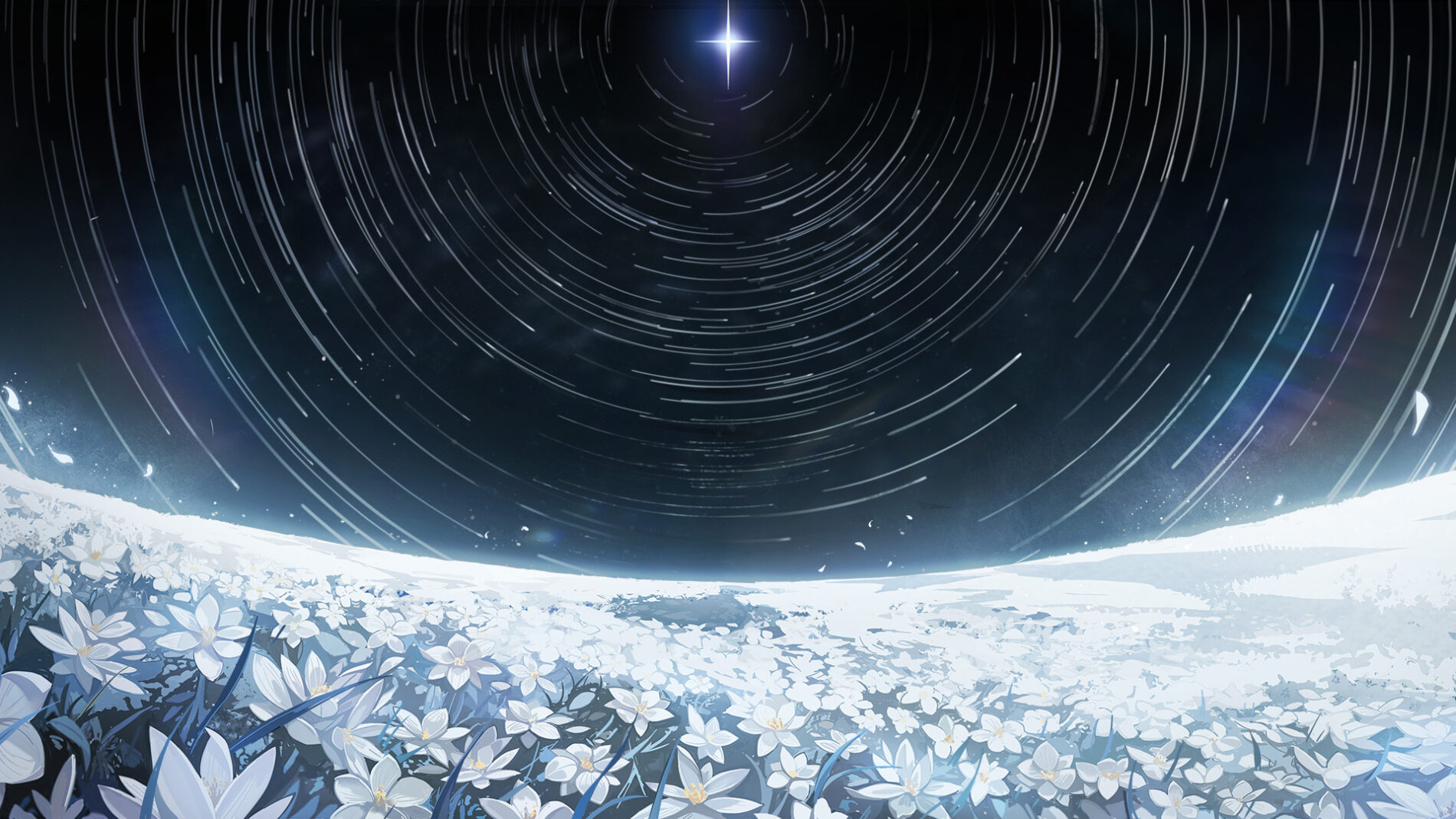 Character section background
